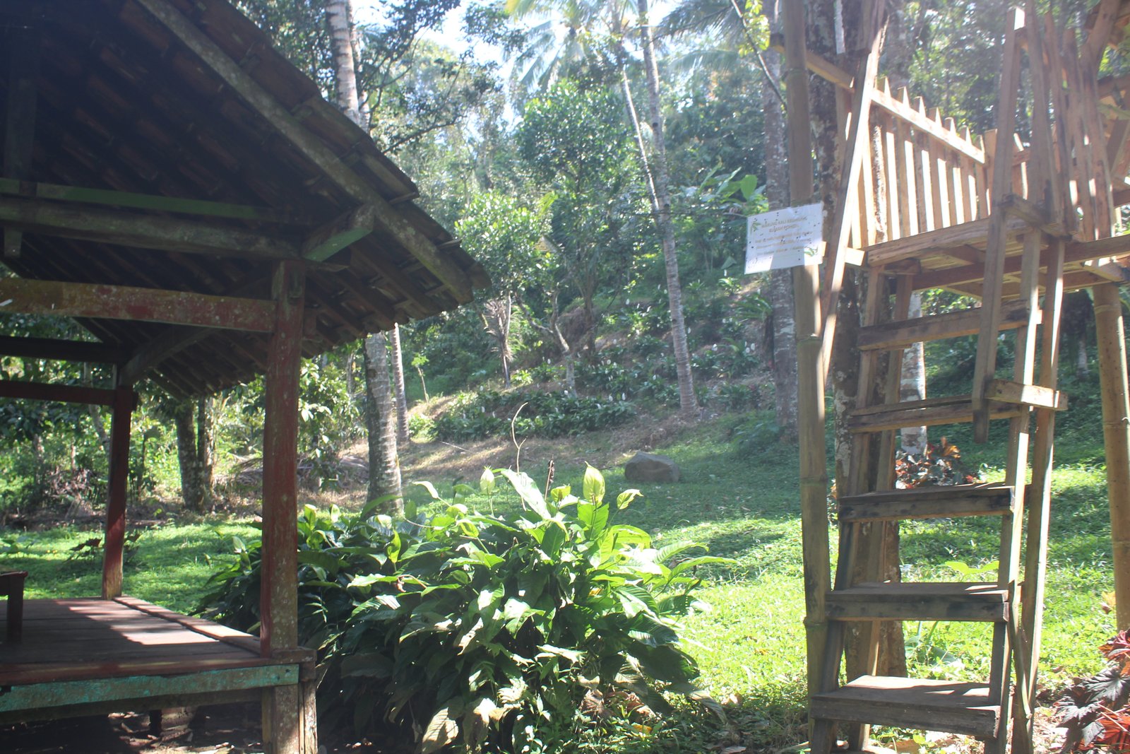 Kali Kedung