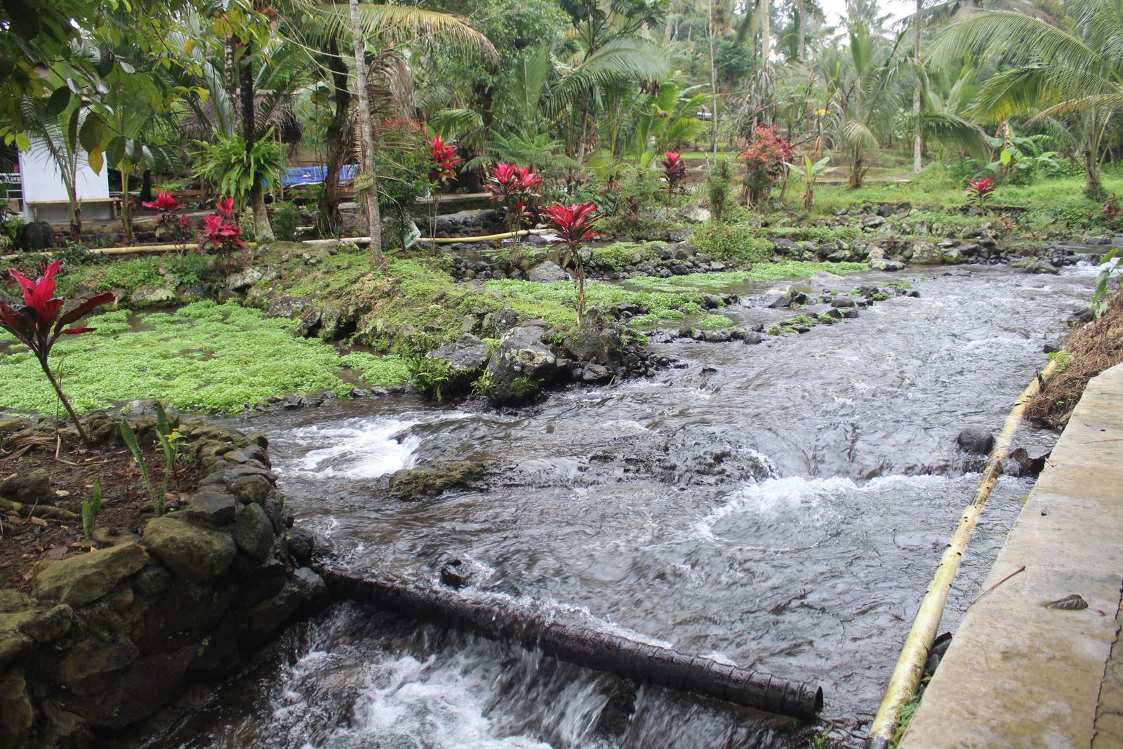 gambar jopuro 2