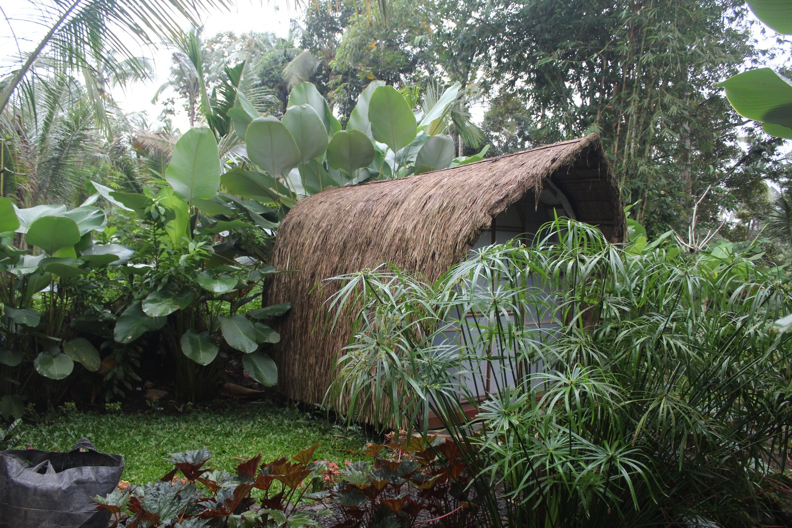 gambar jopuro 3